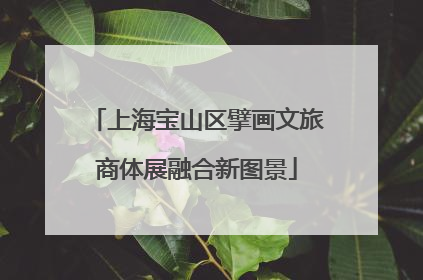 上海宝山区擘画文旅商体展融合新图景