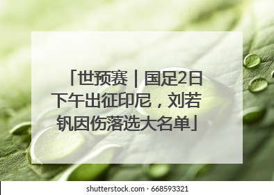 世预赛｜国足2日下午出征印尼，刘若钒因伤落选大名单