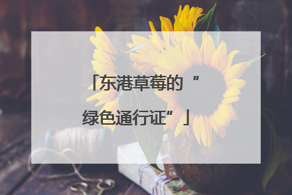 东港草莓的“绿色通行证”