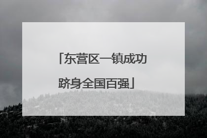 东营区一镇成功跻身全国百强