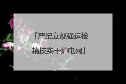 严纪立规强运检 精技实干护电网