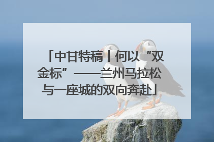 中甘特稿丨何以“双金标”——兰州马拉松与一座城的双向奔赴