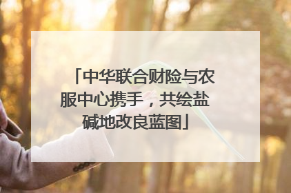 中华联合财险与农服中心携手，共绘盐碱地改良蓝图