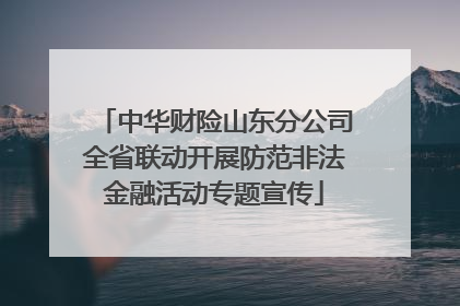 中华财险山东分公司全省联动开展防范非法金融活动专题宣传
