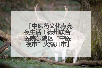 中医药文化点亮夜生活！德州联合医院东院区“中医夜市”火爆开市