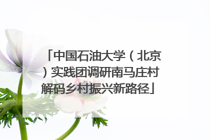 中国石油大学（北京）实践团调研南马庄村解码乡村振兴新路径