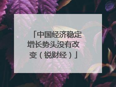 中国经济稳定增长势头没有改变（锐财经）
