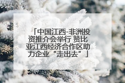 中国江西-非洲投资推介会举行 赞比亚江西经济合作区助力企业“走出去”