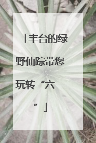 丰台的绿野仙踪带您玩转“六一”