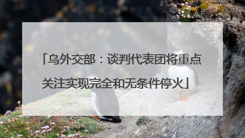 乌外交部：谈判代表团将重点关注实现完全和无条件停火