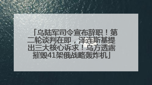 乌陆军司令宣布辞职！第二轮谈判在即，泽连斯基提出三大核心诉求！乌方透露摧毁41架俄战略轰炸机