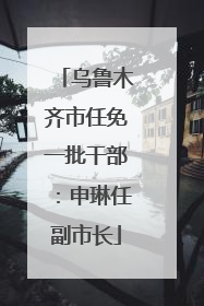乌鲁木齐市任免一批干部：申琳任副市长
