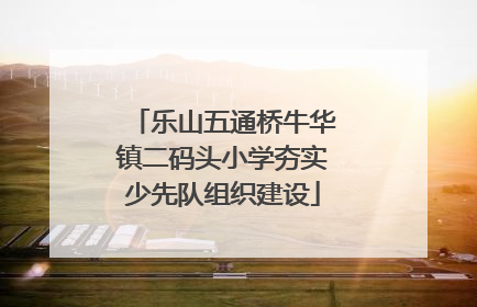 乐山五通桥牛华镇二码头小学夯实少先队组织建设