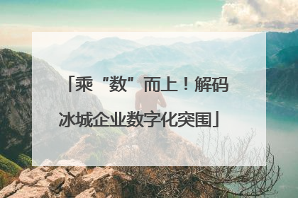 乘“数”而上！解码冰城企业数字化突围