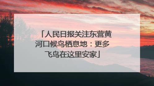 人民日报关注东营黄河口候鸟栖息地：更多飞鸟在这里安家
