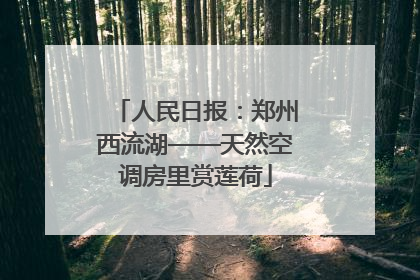 人民日报：郑州西流湖——天然空调房里赏莲荷
