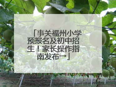 事关福州小学预报名及初中招生！家长操作指南发布→