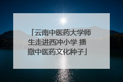 云南中医药大学师生走进西冲小学 播撒中医药文化种子