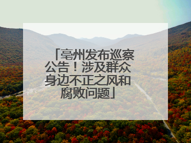 亳州发布巡察公告！涉及群众身边不正之风和腐败问题
