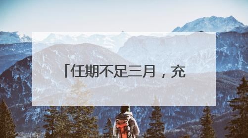 任期不足三月，充电宝品牌罗马仕法定代表人再变更