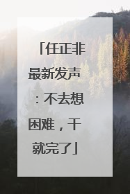 任正非最新发声：不去想困难，干就完了