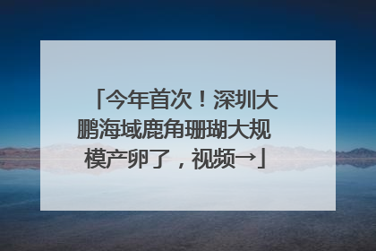 今年首次！深圳大鹏海域鹿角珊瑚大规模产卵了，视频→