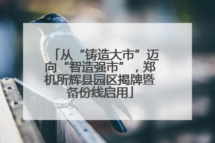 从“铸造大市”迈向“智造强市”，郑机所辉县园区揭牌暨备份线启用