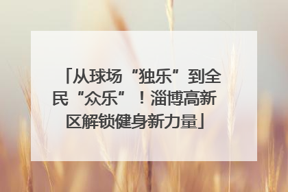 从球场“独乐”到全民“众乐”！淄博高新区解锁健身新力量