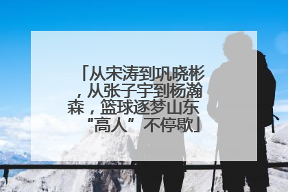 从宋涛到巩晓彬，从张子宇到杨瀚森，篮球逐梦山东“高人”不停歇