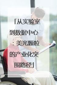 从实验室到数据中心：美光颗粒的产业化突围路径