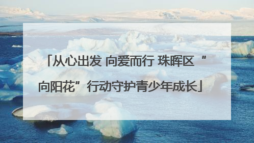 从心出发 向爱而行 珠晖区“向阳花”行动守护青少年成长