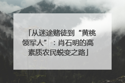 从迷途赌徒到“黄桃领军人”：肖石明的高素质农民蜕变之路