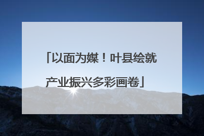 以面为媒！叶县绘就产业振兴多彩画卷