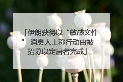 伊朗获得以“敏感文件” 消息人士称行动由被招募以定居者完成
