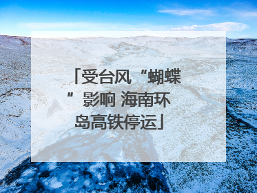 受台风“蝴蝶”影响 海南环岛高铁停运