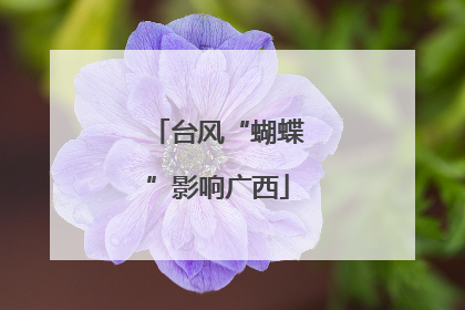 台风“蝴蝶”影响广西