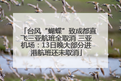 台风“蝴蝶”致成都直飞三亚航班全取消 三亚机场：13日晚大部分进港航班还未取消