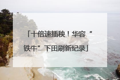 十倍速插秧！华容“铁牛”下田刷新纪录