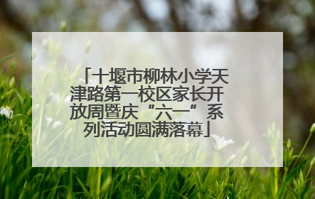 十堰市柳林小学天津路第一校区家长开放周暨庆“六一”系列活动圆满落幕