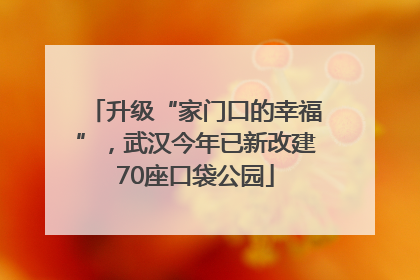升级“家门口的幸福”，武汉今年已新改建70座口袋公园