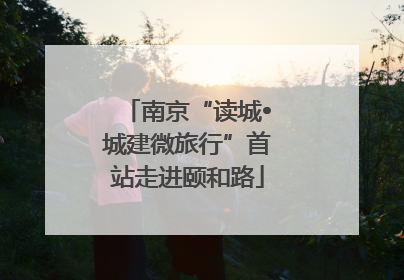 南京“读城•城建微旅行”首站走进颐和路