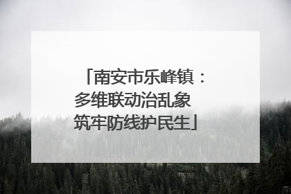 南安市乐峰镇：多维联动治乱象 筑牢防线护民生