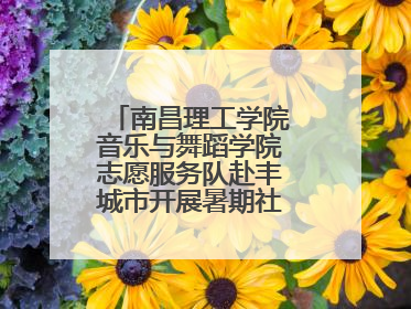 南昌理工学院音乐与舞蹈学院志愿服务队赴丰城市开展暑期社会实践活动