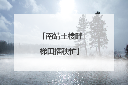 南靖土楼畔 梯田插秧忙