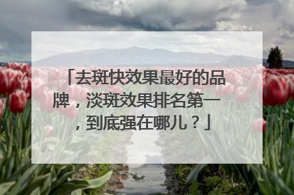 去斑快效果最好的品牌，淡斑效果排名第一，到底强在哪儿？