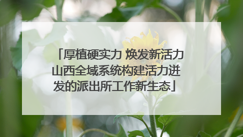 厚植硬实力 焕发新活力 山西全域系统构建活力迸发的派出所工作新生态
