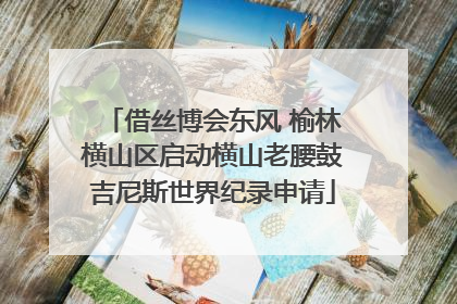 借丝博会东风 榆林横山区启动横山老腰鼓吉尼斯世界纪录申请