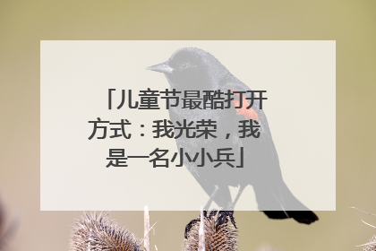 儿童节最酷打开方式：我光荣，我是一名小小兵