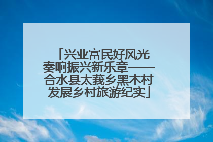 兴业富民好风光 奏响振兴新乐章——合水县太莪乡黑木村发展乡村旅游纪实