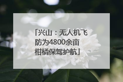 兴山：无人机飞防为4800余亩柑橘保驾护航